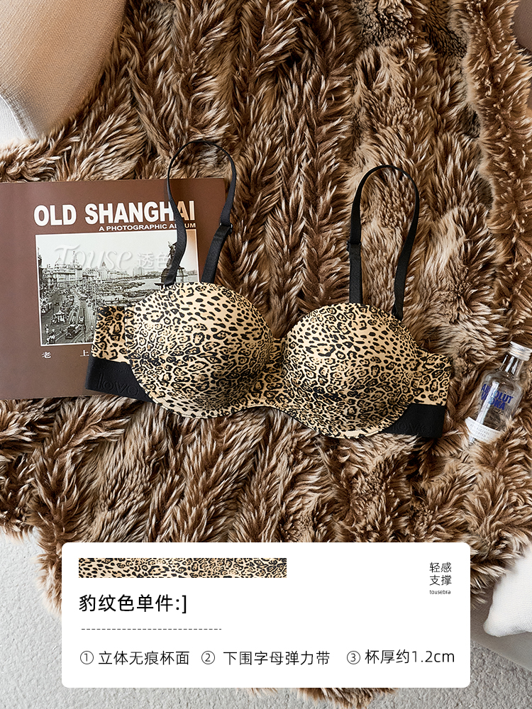 표범 무늬 색상