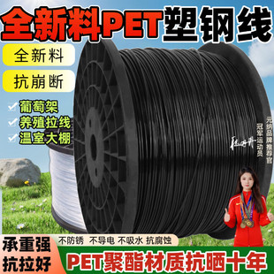 ��䓾��K�����ʹ���ð�������Ѽ����پW��Ĥ����Ļ�����ߏ���