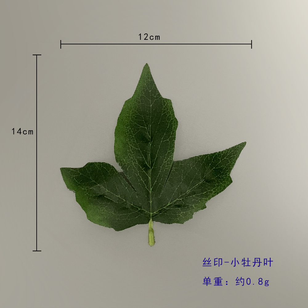 작은 모란 잎
