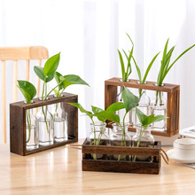 歐美風水培花瓶原木碳烤試管玻璃干花綠植木架擺台裝飾綠蘿植物容