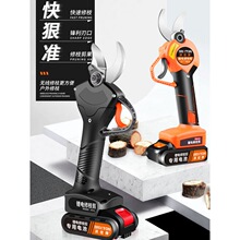 늄Ӽ���������ʽ��֦�����ֳ�ʽ늼��ӈ@�ֻ��ܴ�֦�늼�