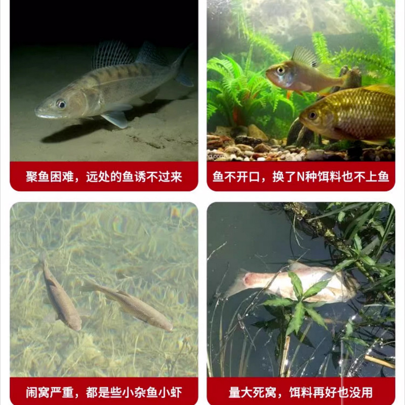 granular de aceite de oveja Shuxiu, cebo de peces, agujero negro, cebo de hierba, cebo de peces de agua dulce, cebo de peces grandes