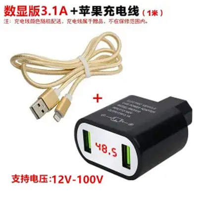 3.1A 폭발 블랙 12-100V + 애플 라인