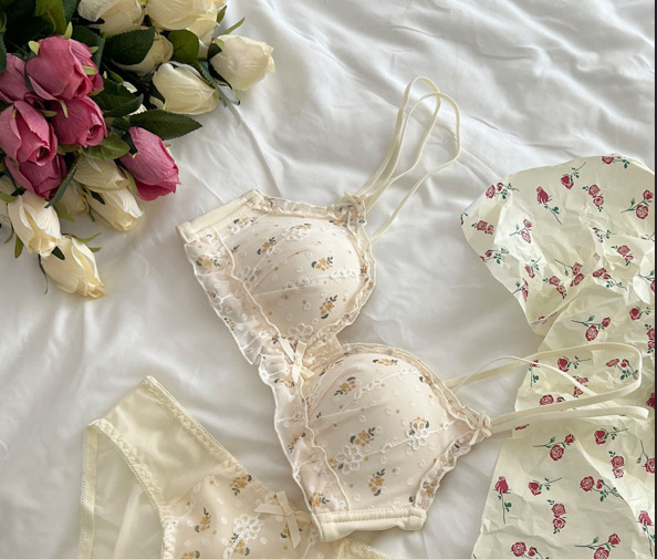 Venta directa de fábrica comercio electrónico transfronterizo Sudeste de Asia Vietnam Tailandia damas estilo francés delgado y fruncido sujetador floral