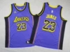 Children's Clothing Lakers 23 Announcement Edition Purple