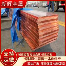 国标T2紫铜排 接地红铜排 50*5 TMY铜母线镀锡 C1100无氧铜排导电