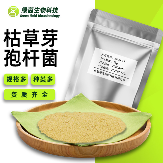 Bacillus Subtilis Food Grade Green Yin Biotech In-Stock Direct Delivery Free Shipping