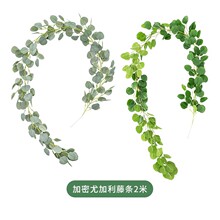 ����ֲ���ȼ����ٗl���滨����~�羳���R�d����Gֲ�F؛�S�����l