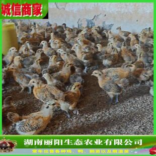 �������lÓ�����_���u��һ���´��u�а����Ó���u��ֱ�����·��B