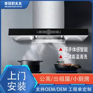 顶吸式T型抽油烟机公寓出租房家用小厨房自动清洗油烟机自清洗