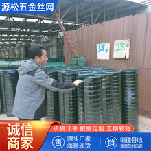 荷兰网焊接绿色铁丝pe包塑围网养鸡拦果园围栏防护围园网子篱笆卷