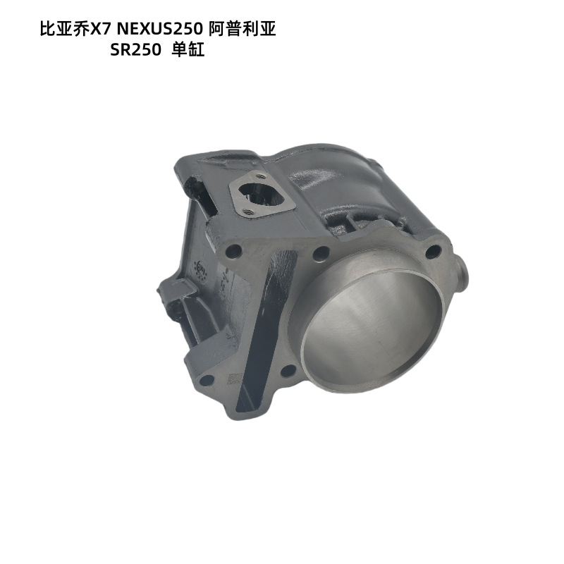 Piaggio Motorcycle Parts X7Nexus250 Aprilia Sr250 Efi Cylinder Liner Cylinder Block Cylinder Sleeve