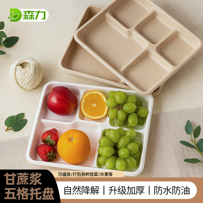 Five-Compartment Tray Disposable Daily Necessities Hotel Buffet Conference Dining Barbecue Party Chinese Dinner Plate Serving Tray