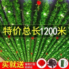 仿真樹葉江西省熱賣藤條假花裝飾管道吊頂塑料假綠蘿遮擋葡萄葉