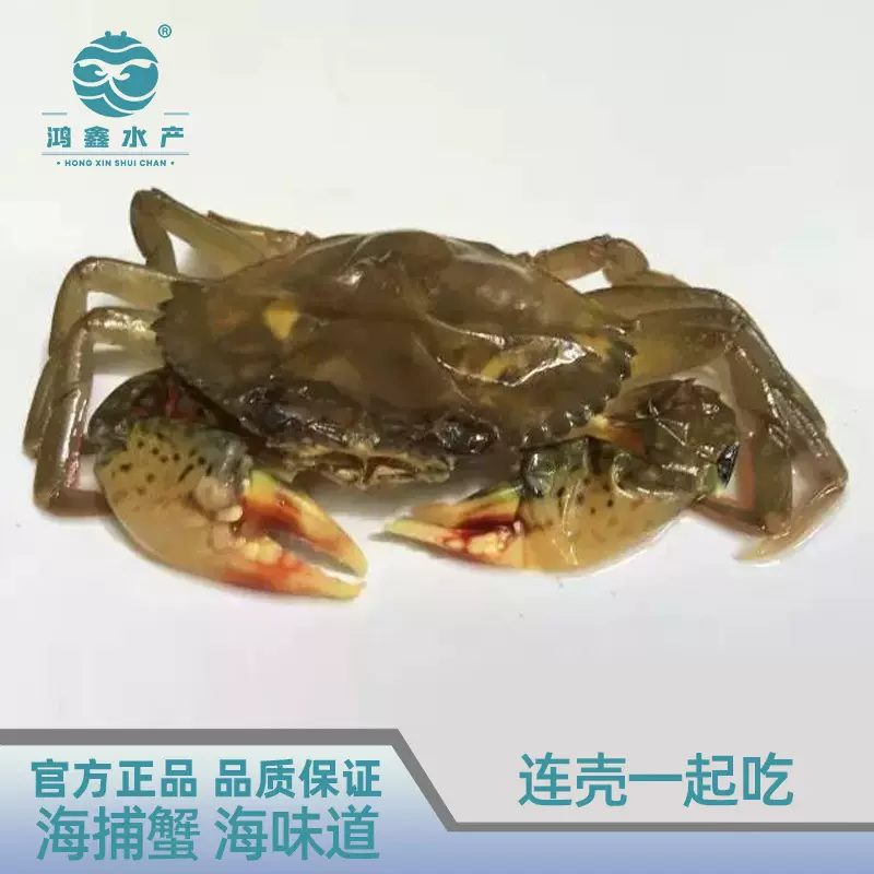 软壳蟹免剥壳螃蟹7只装蒸煮炸炒商用食材冻蟹鲜蟹青蟹