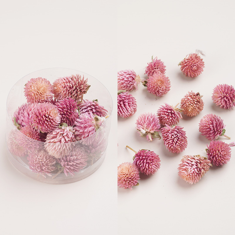 天然アロマキャンドル乾燥果花材クリスマス花輪diy乾燥花材植物標本装飾画松果|undefined