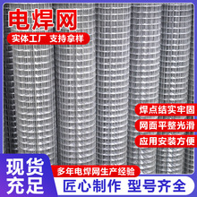 定制镀锌电焊网建筑工程外墙烟道钢丝网粉刷挂灰保温墙防裂铁丝网