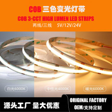 COB�͉��pɫȫ���V�� 5V/12V/24V COB 3-CCT LED STRIPS