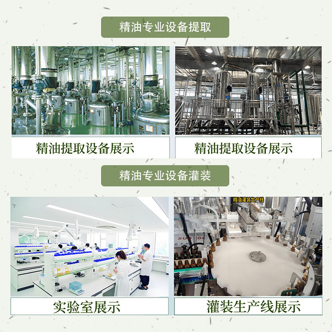 源头工厂沙棘果油超临界萃取软胶囊添加 日化原料植物精油|undefined