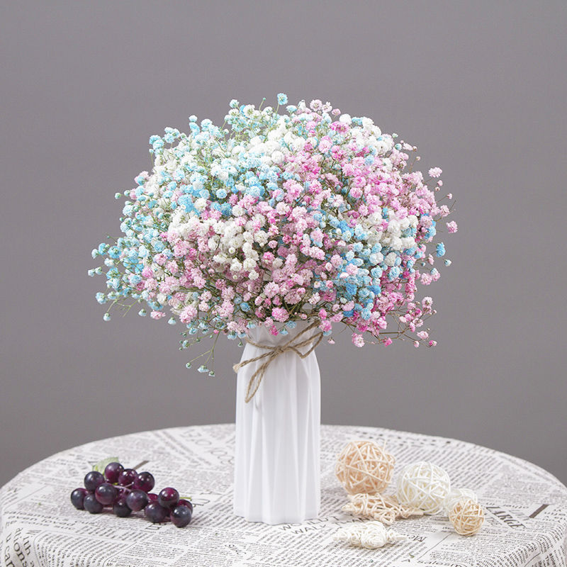 25ddc782-77ca-4986-ac7a-b5f839c3735e.jpe