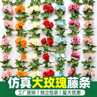 �羳����10�^õ�廨�ټٻ��ٗl���{�řڵ����b������Gֲ�S��ֱ�N