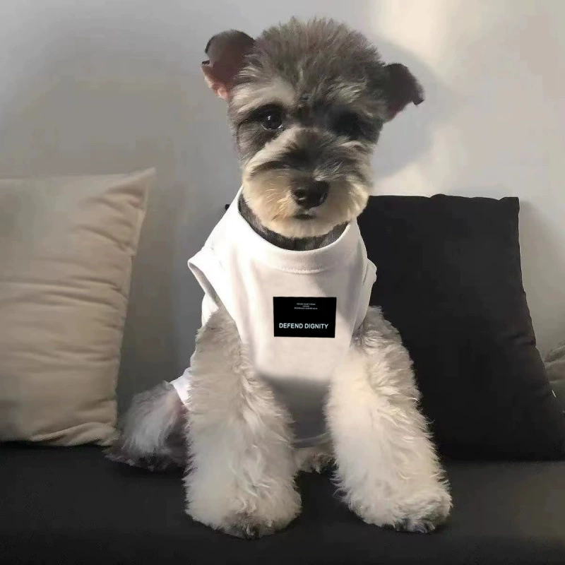 Модный весенне-летний тонкий жилет для собак Тедди Бишон Шнауцер Померанский шпиц кошка маленьких размеров дышащая одежда для собак