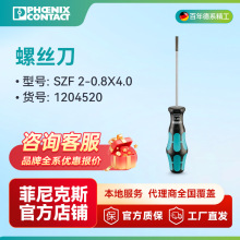�����˹��˿�� SZF 2-0,8X4,0 - 1204520һ��10��