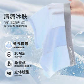 青少年内裤10A抑菌桑蚕丝四角底裤学生儿童男生成长发育期平角裤