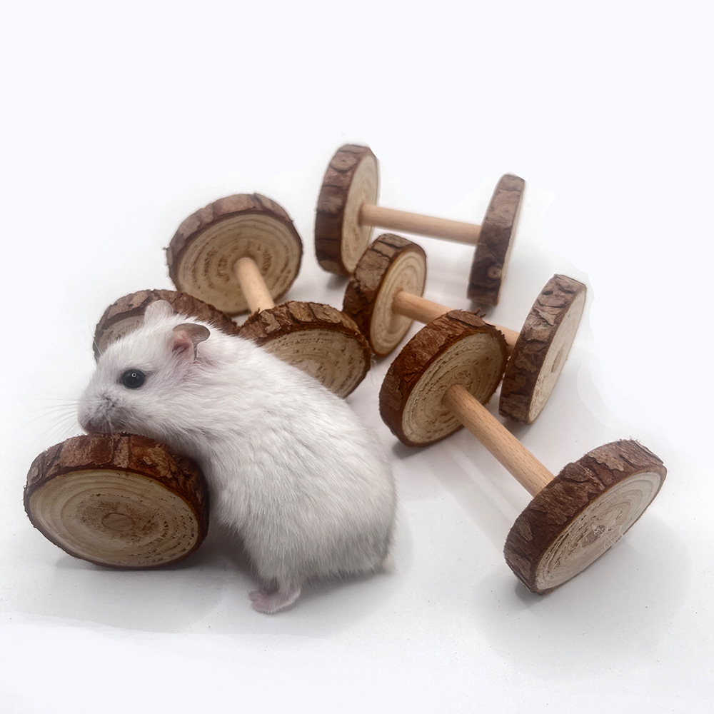 Amazon hámster cerdo holandés loro juguete de madera maciza pequeña mascota molar suministros hámster entrenamiento mancuerna juguete