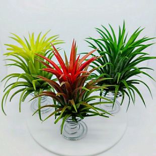 �՚��P��o������Сֲ�����Ժ��B�����҃ȃ�������[���Gֲ