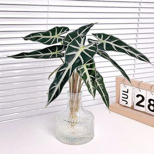 С��Ů����ˮ��ֲ���k���҃����汱�W�L�Gֲ���Է�ݗ������՚�