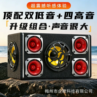 Home Use – Car speaker/subwoofer