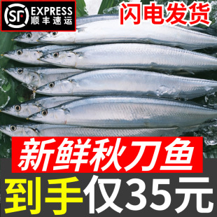 ���r�ﵶ�~�w�~���~�r�������~��ʽ����ʳ�ĺ��rˮ�a��S���]