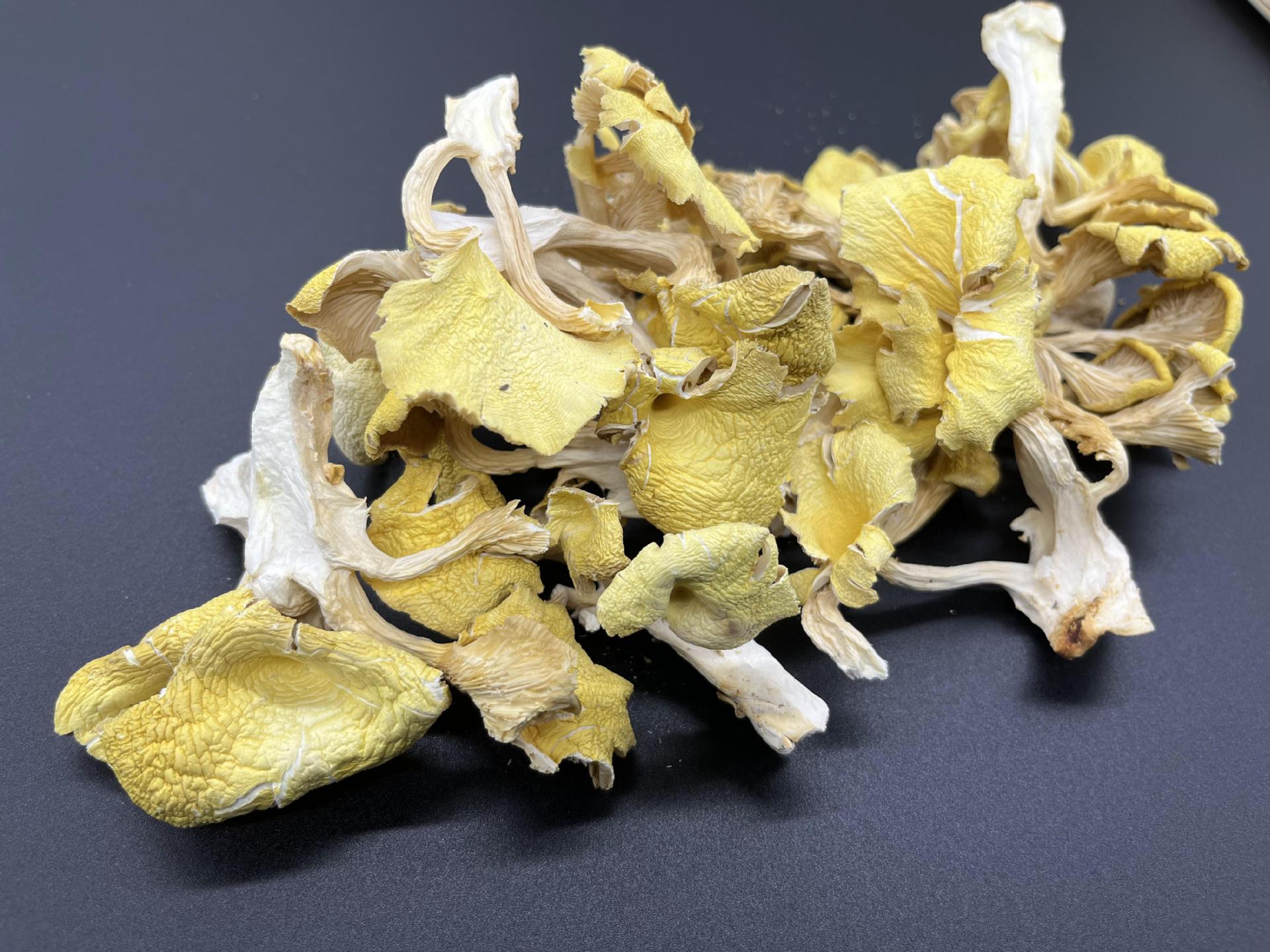 2022_11_09_10_27_IMG_9007