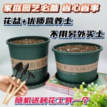 �Ӂ��������͇��طN�߲˾Gֲ�����¼������ͨ�Á��R�d���uͨ���]