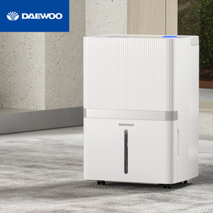 Daewoo Daewoo Household Dehumidifier Indoor Drying and Dehumidification High-Power Underground Moisture Absorption Artifact Dy-Cs09