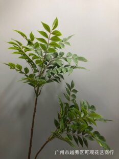 �����p����ľ�㴻���֦�ָ�֦���W����Gֲ������ֲ�������쾰