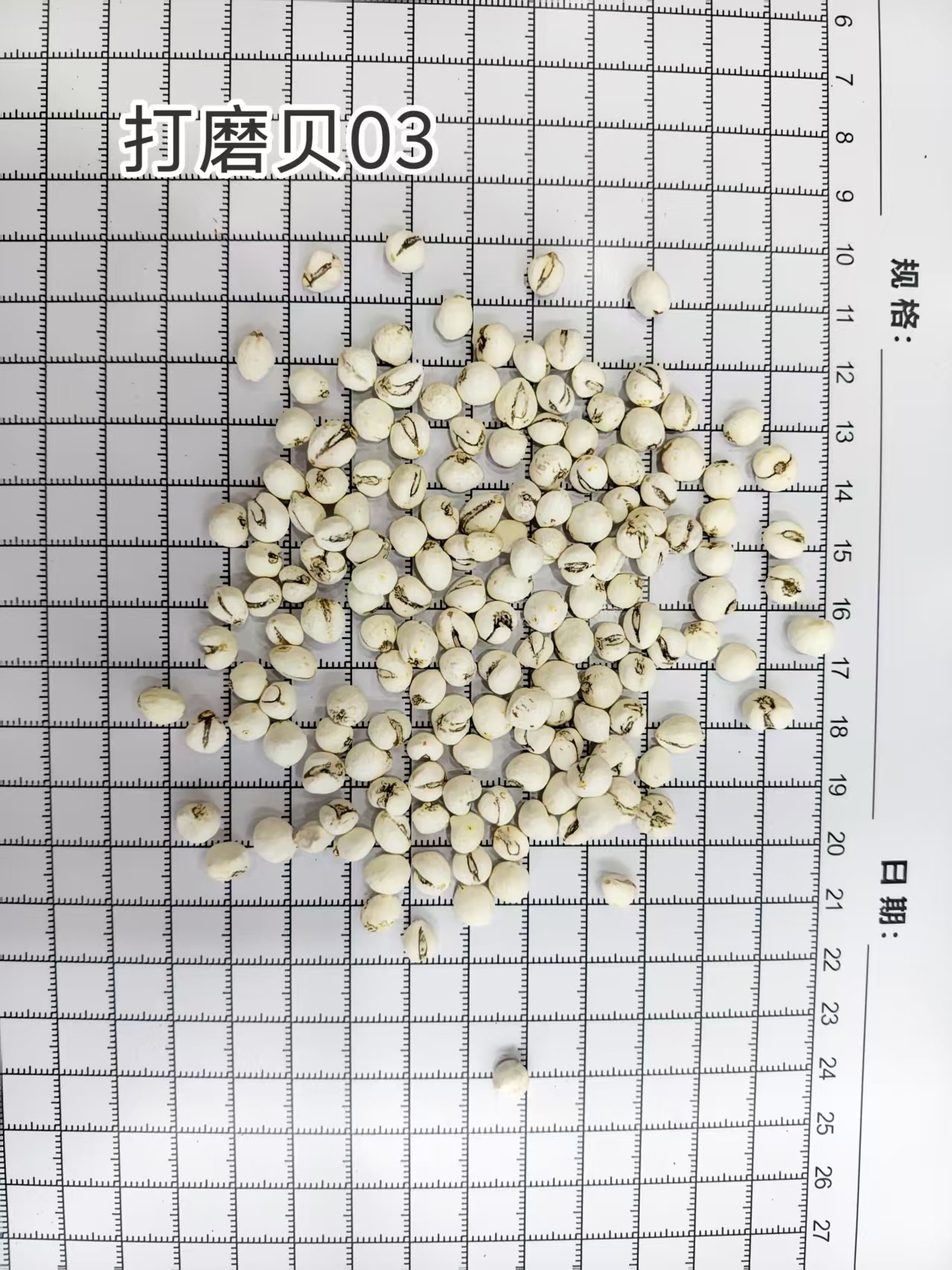 Ping Bei Mu Fritillaria Dried Bulbs 500g Traditional Chinese Herb for Decoction specifications