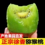 周至陕西新鲜香甜猕猴桃
