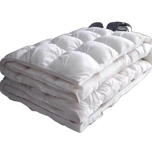Five-Star Hotel down Quilt, White Goose down Winter Quilt, Spring and Autumn Quilt, Double Quilt, Thickened Warm Goose down Quilt