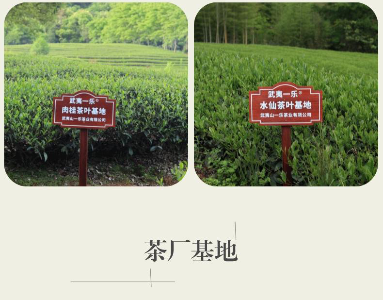 副本_副本_浓香正山小种__2022-10-31+16_20