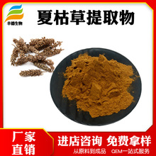夏枯草提取物10:1 多规格 比例夏枯草提取物 水溶粉末 免费拿样