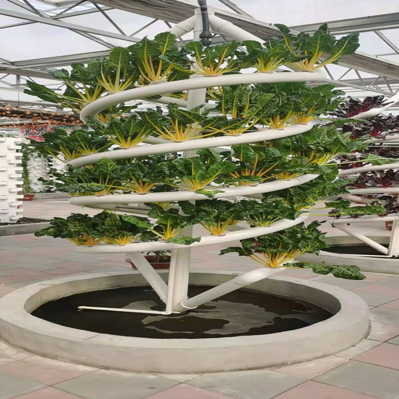 Instalaciones de cultivo sin suelo de invernadero nutrición hidropónica tridimensional plantación de ranura en espiral de doble tubo cultivo sin suelo en espiral grande