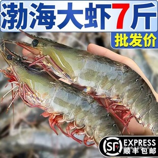 ����������r���r���r�}���������������r�Y�к��rˮ�a�Ї����