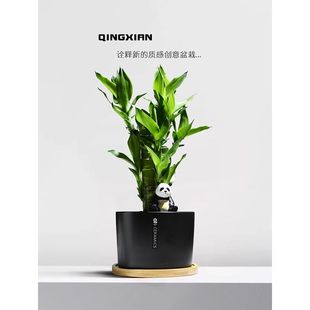 ���F��͏d���Թ������҃��k������ؔ�����Ĳ���С�Gֲ������ֲ��