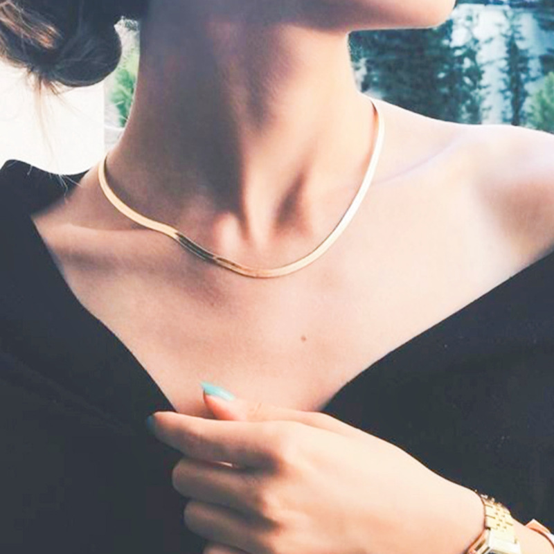 European and American cross-border jewelry fashion short blade chain wholesale Women's simple metal flat chain snake bone chain necklace