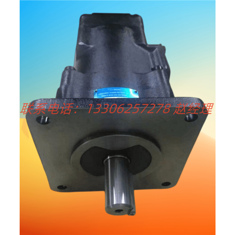 美国DENISON丹尼逊叶片泵T6DC-028-008-1R02-B1质保一年现货