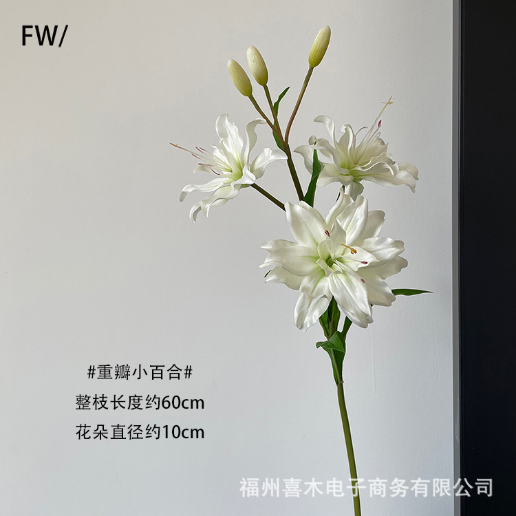 photo-output_5 4副本.jpg