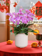 �����mͬ�����ͱ����Ϻ��r�������Ԏ������������������w֮ϲ