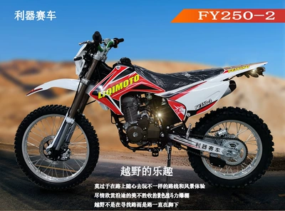 Ligature Racing FY250-2 Off-road Motorcycle CB250 Engine Inverted Fork Shock Absorber with Headlight Mountain Forest Road Car (Kross motosiklet mühərrikləri)